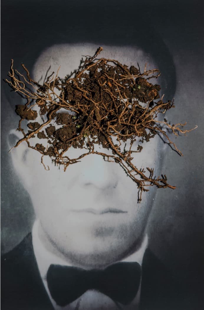 Francisco Donoso, fotógrafo: “La materialidad es la piel del territorio”