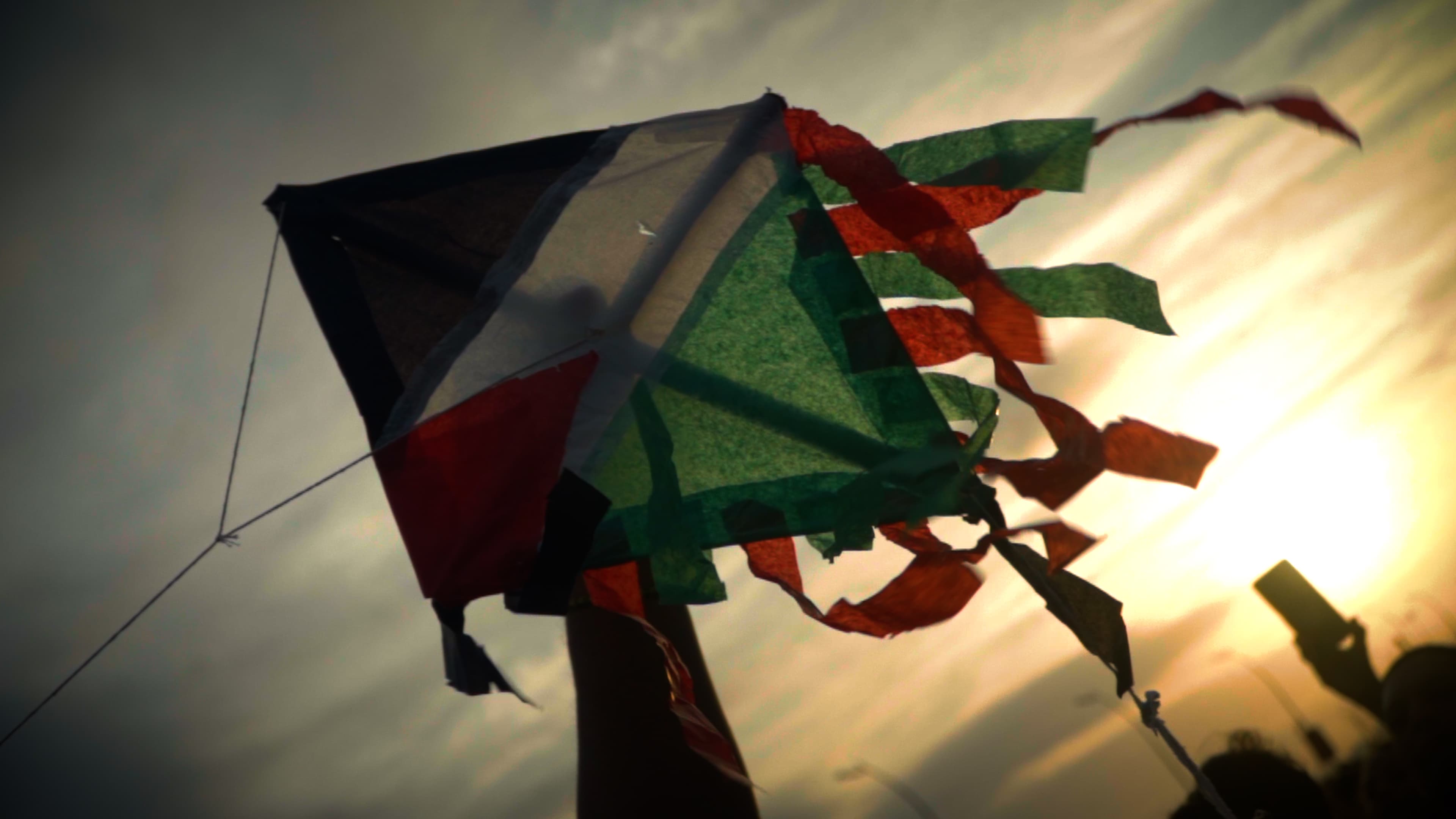 Cine y resistencia: ciclo palestino llega a las salas independientes de la Región de Los Lagos