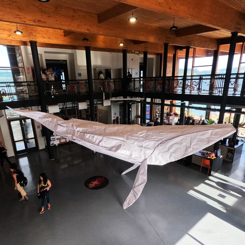 La ballena blanca en la habitación