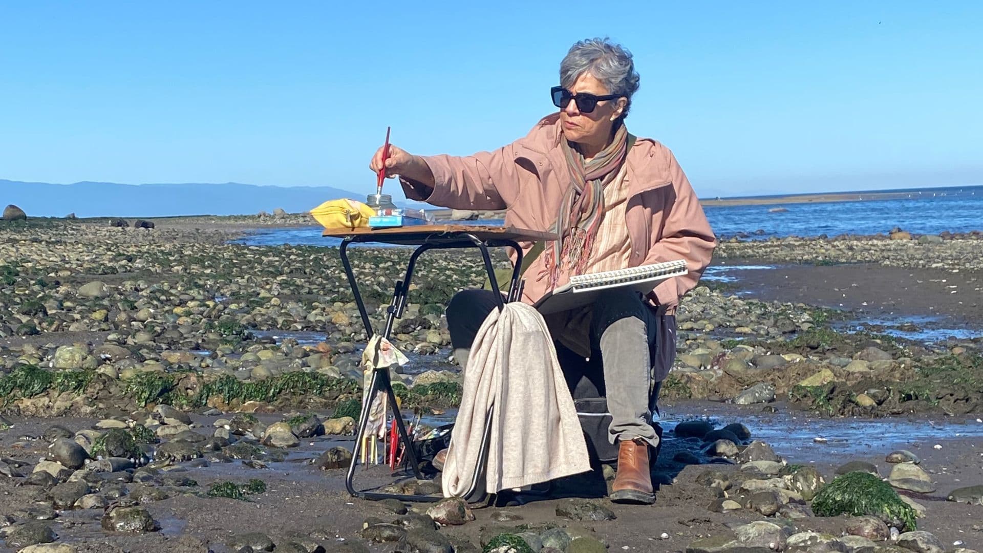 El vínculo entre mareas de una artista visual y los tocones de Pelluco