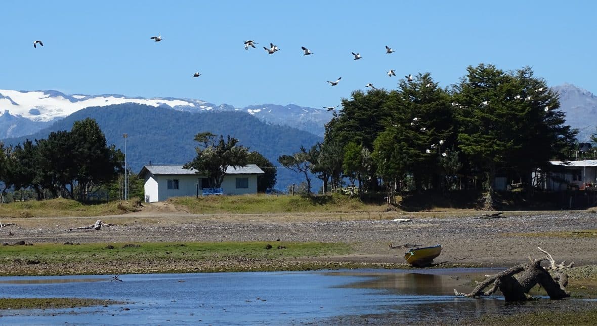 Roxana Tampier: “Uso la misma técnica que aprendí en mi tierra”
